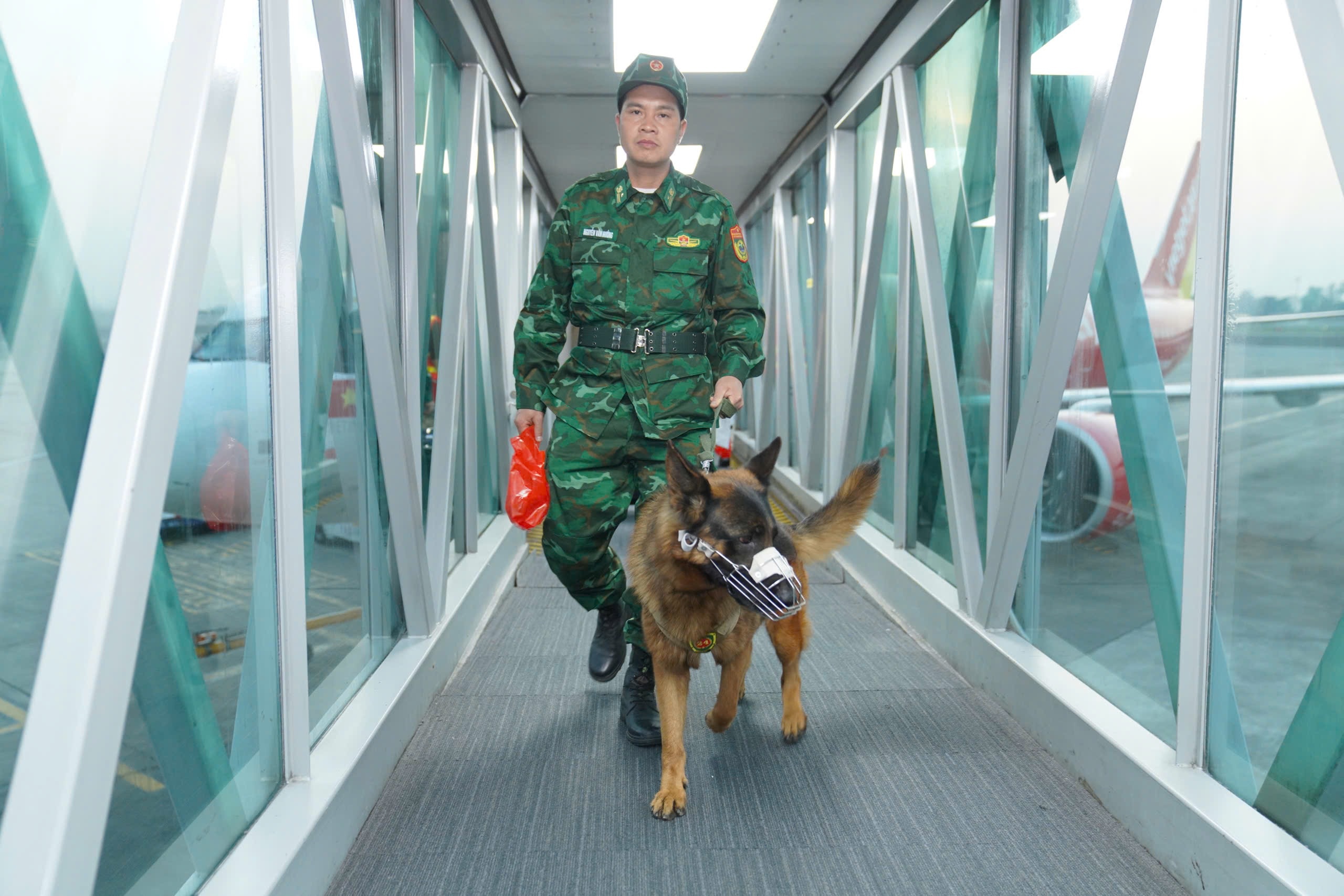 Dong dat Myanmar anh 14