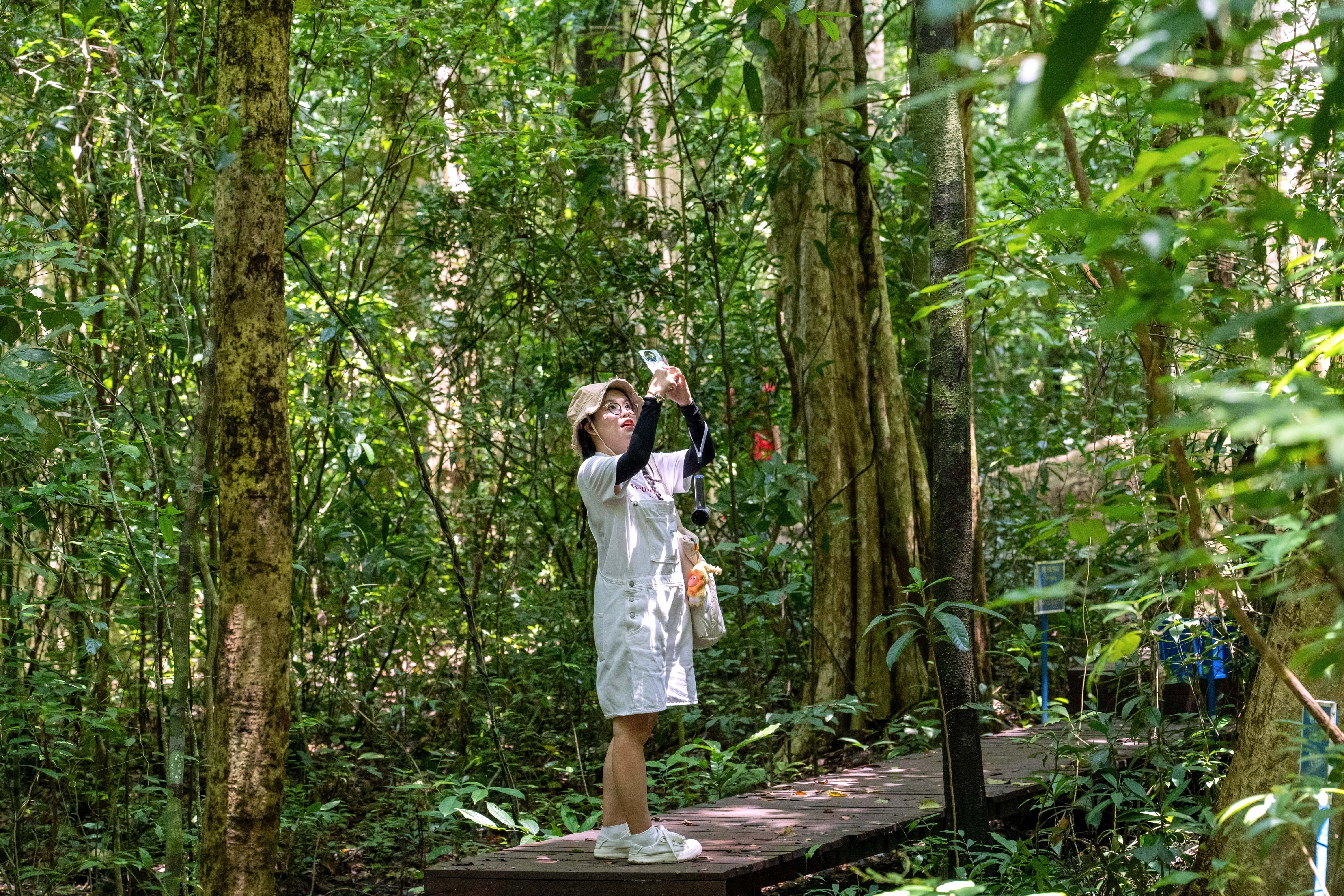 Dan van phong tranh nong he voi tour 'bo pho ve rung' trong ngay hinh anh