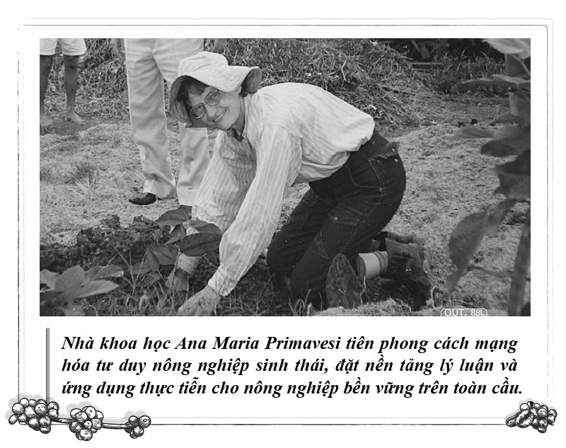 Ca phe triet dao anh 3
