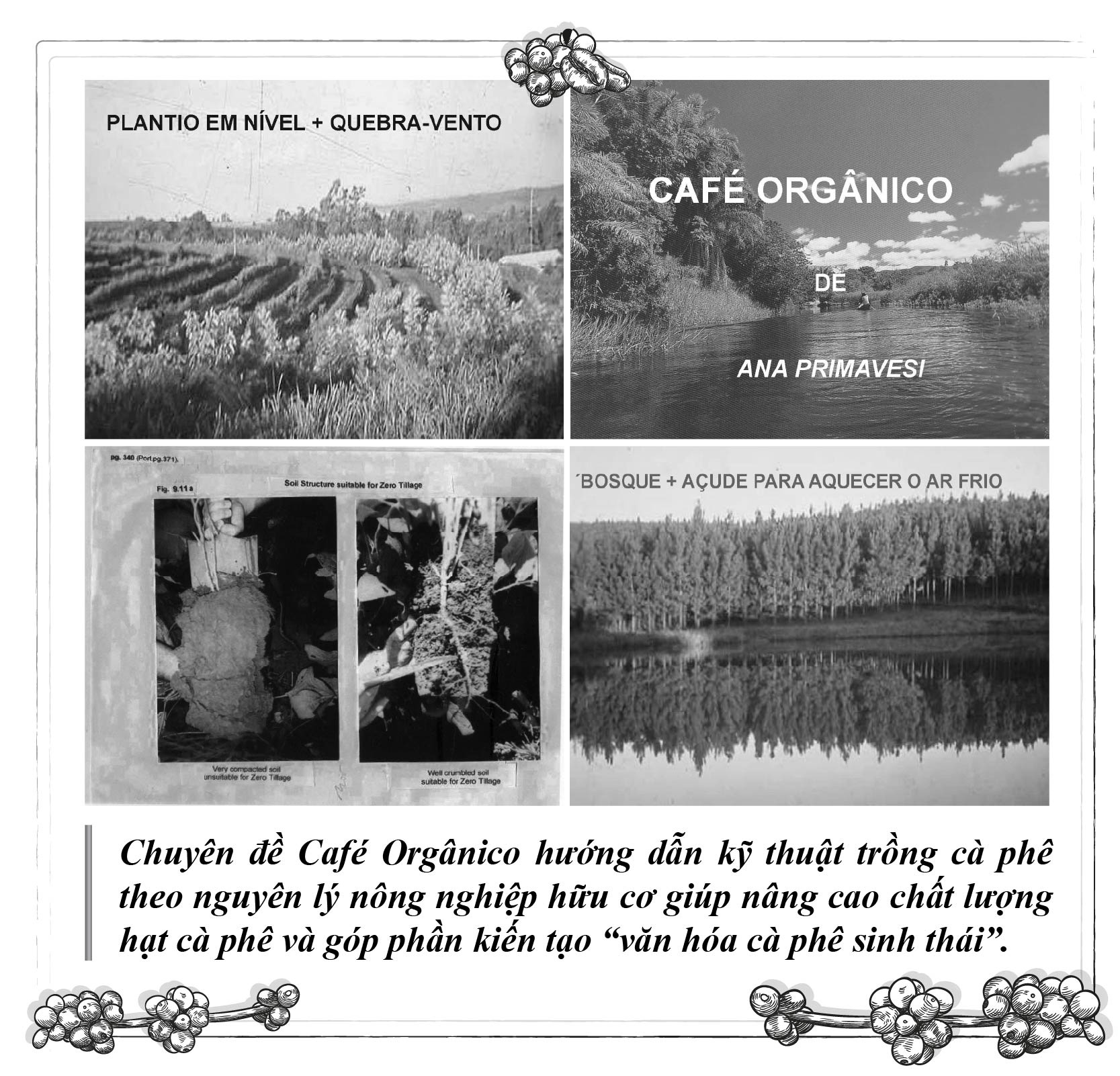 Ca phe triet dao anh 5