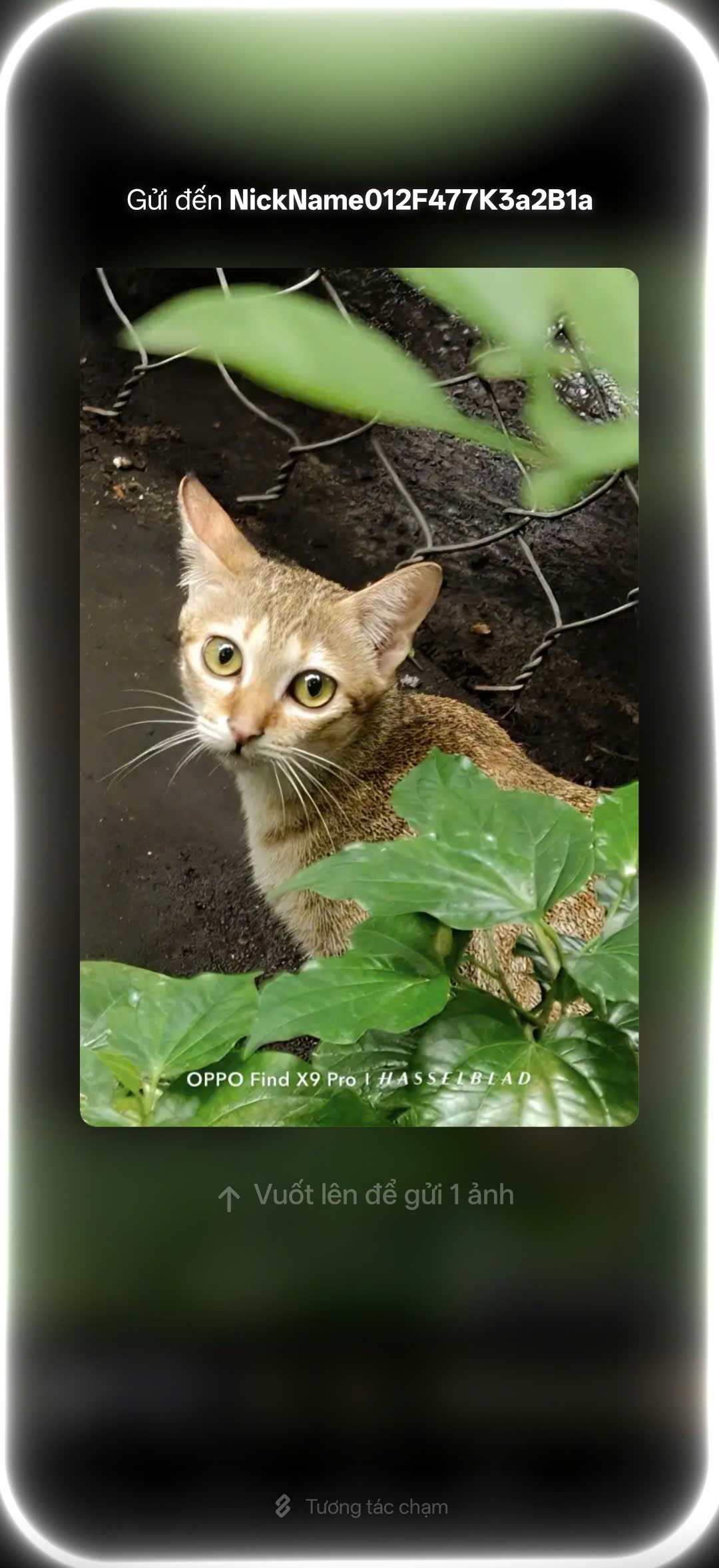 Oppo Find X9 ảnh 4 Oppo Find X9 anh 4