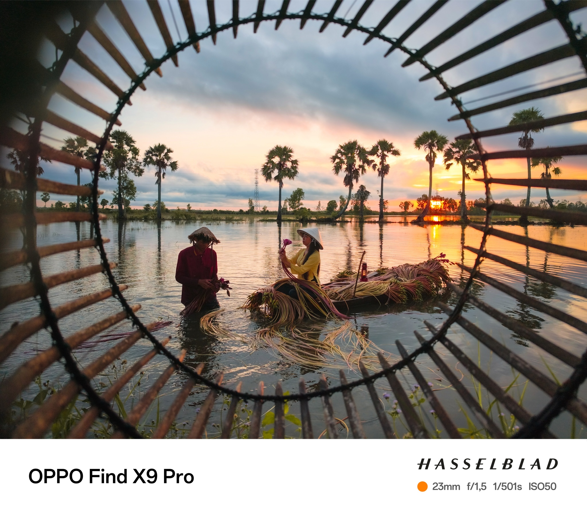 Oppo Find X9 series anh 2