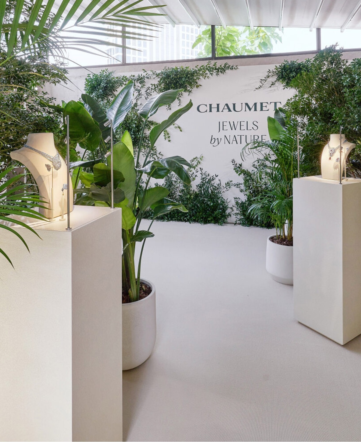 Chaumet ảnh 2 Chaumet anh 2