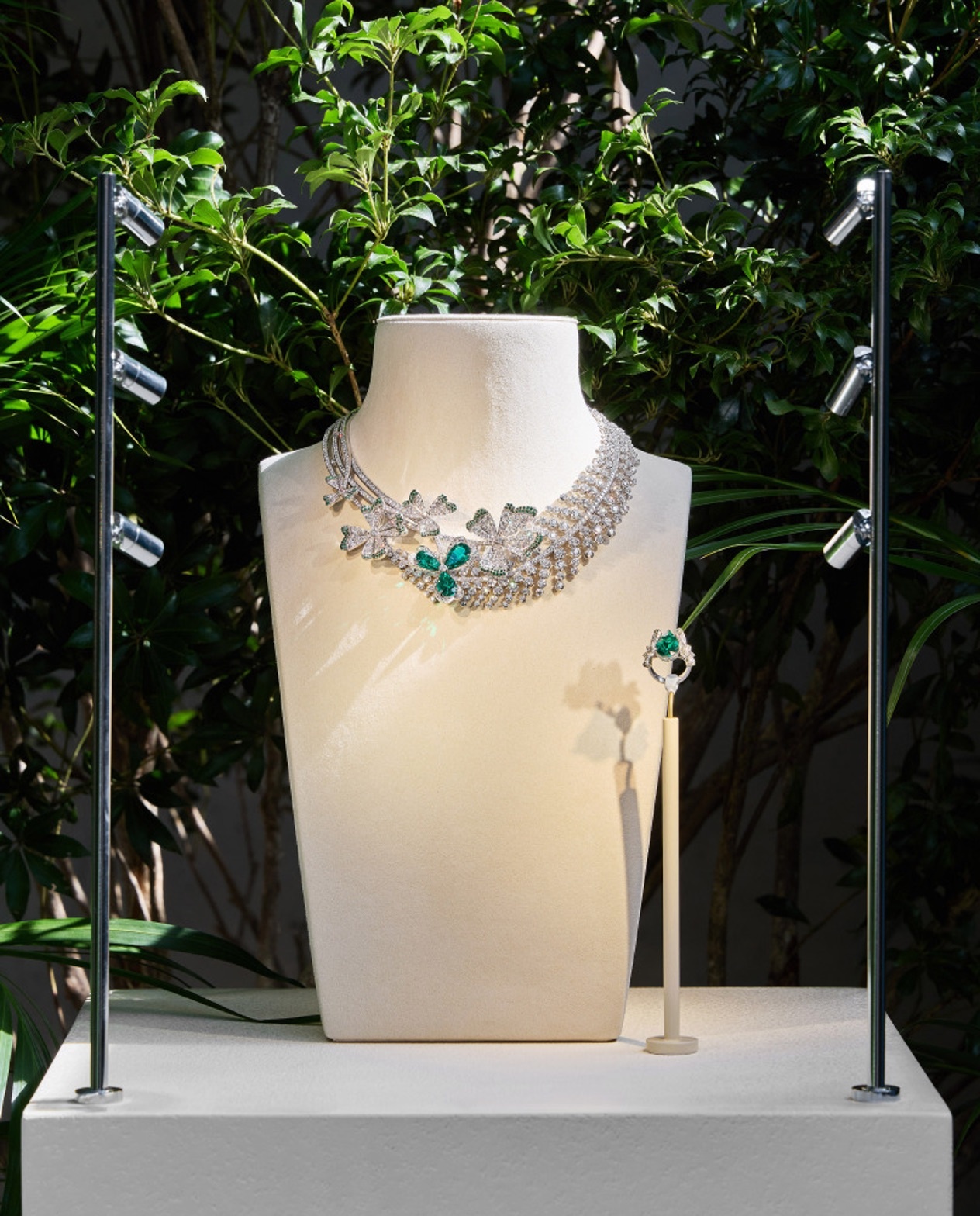 Chaumet ảnh 4 Chaumet anh 4