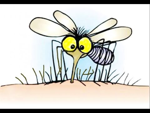 Lam muoi cung kho hinh anh