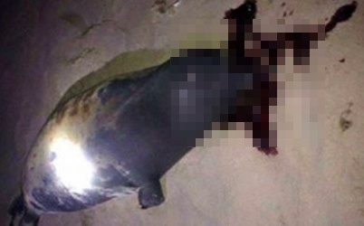 'Ke danh chet hai cau o Binh Thuan qua tan ac' hinh anh