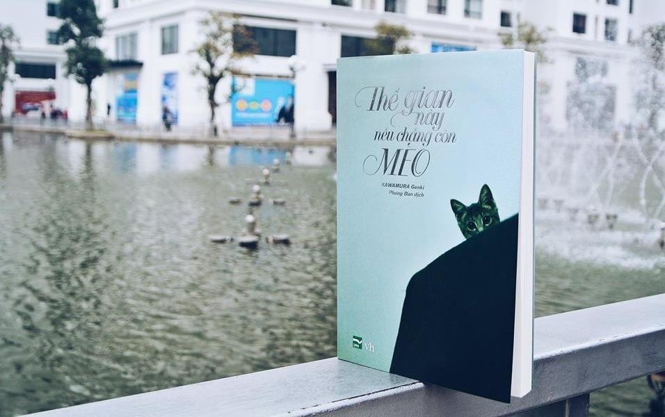 The gian nay neu chang con meo se ra sao? hinh anh