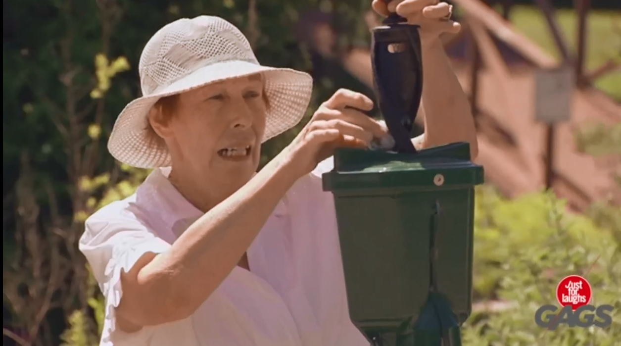 Chi la tro dua hinh anh