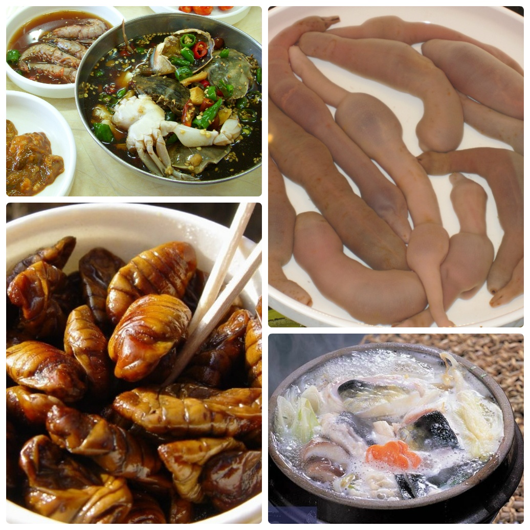 món ăn kỳ quặc ở Hàn Quốc ảnh 5 mon an ky quac o Han Quoc anh 5