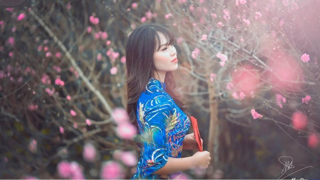 Tet voi con gai anh 2