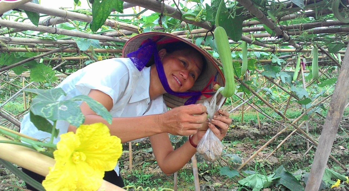 nỗi khổ của phụ nữ ngày tết ảnh 1 noi kho cua phu nu ngay tet anh 1