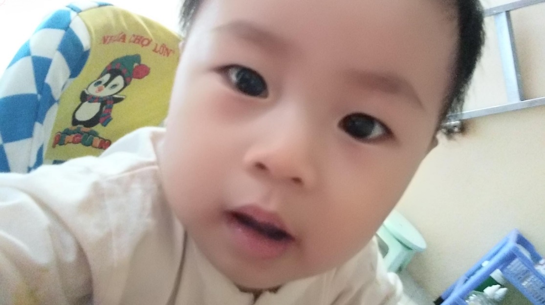 Tet voi con gai anh 5