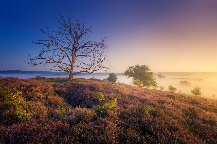 Ha Lan mua thu dep ngo ngang voi nhung canh dong thach nam tim anh 8