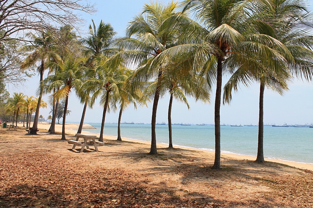 Kinh nghiệm du lịch Singapore ít chi phí ảnh 5 Kinh nghiem du lich Singapore it chi phi anh 5