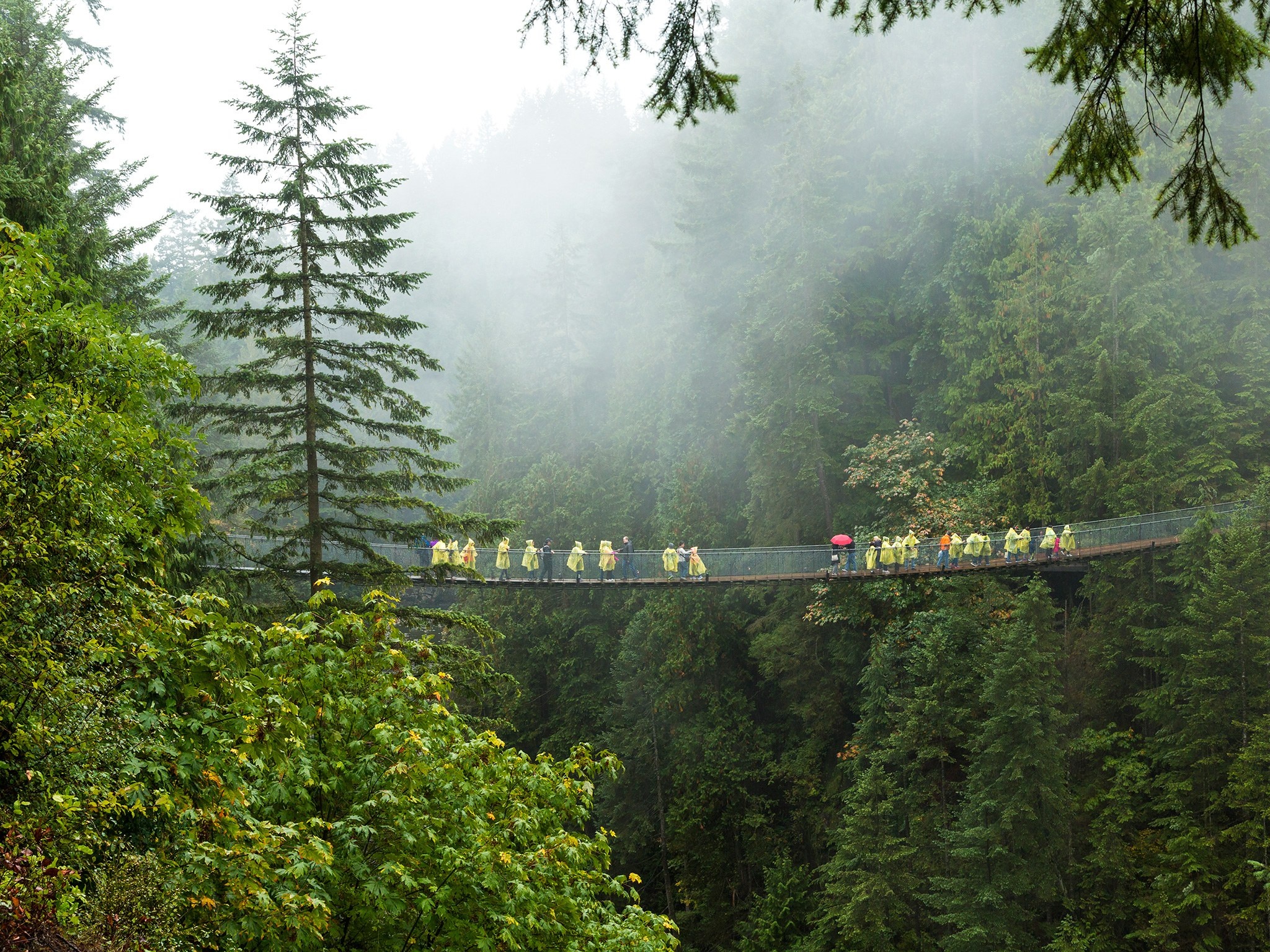 13 cay cau dang so nhat the gioi anh 5