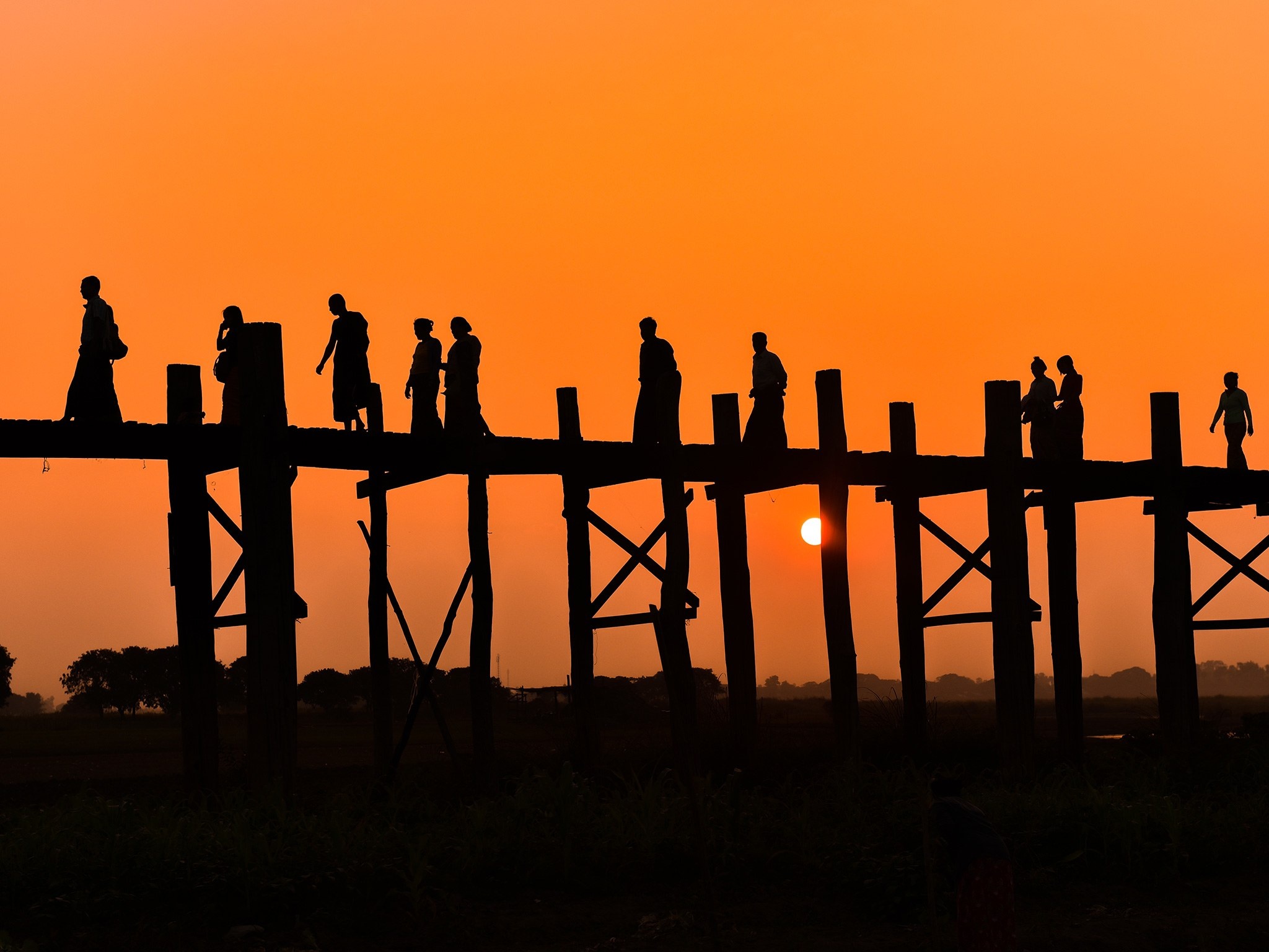 13 cay cau dang so nhat the gioi anh 6