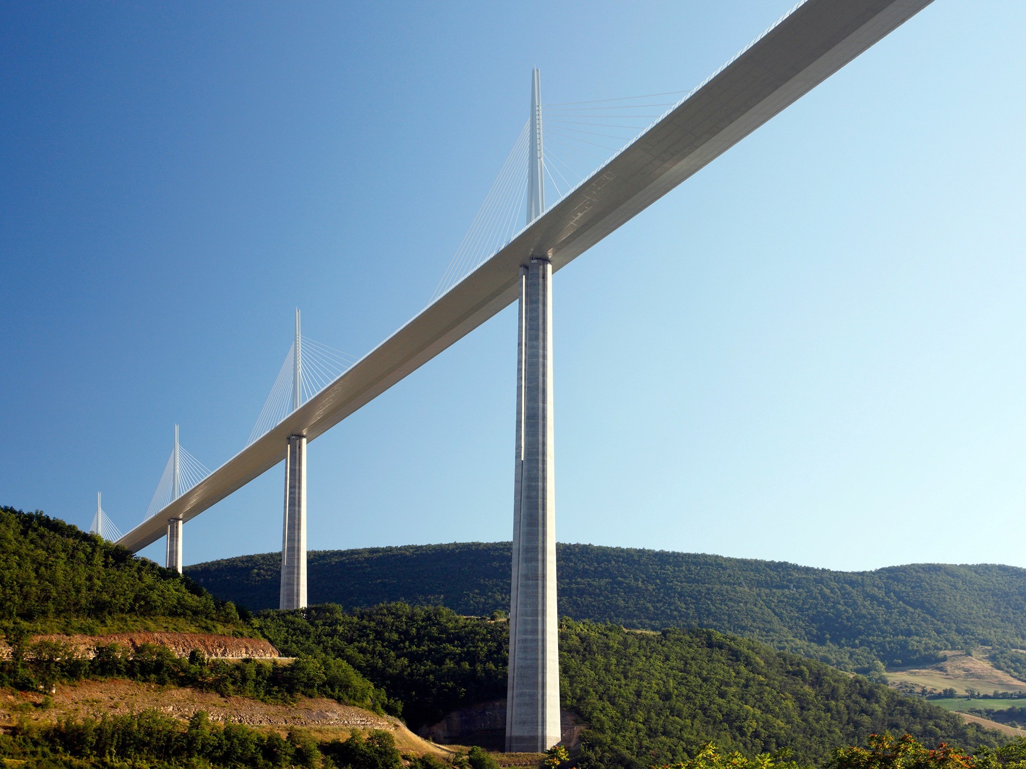 13 cay cau dang so nhat the gioi anh 7