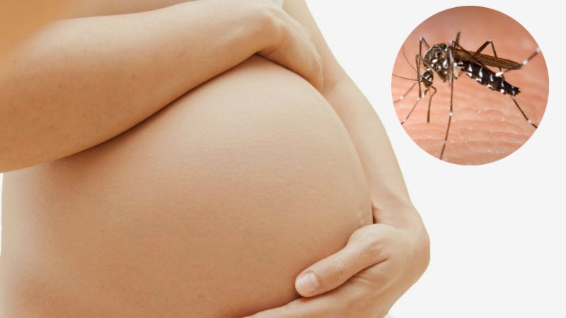 Đã có 38 trường hợp nhiễm Zika trên cả nước ảnh 1 Da co 38 truong hop nhiem Zika tren ca nuoc anh 1