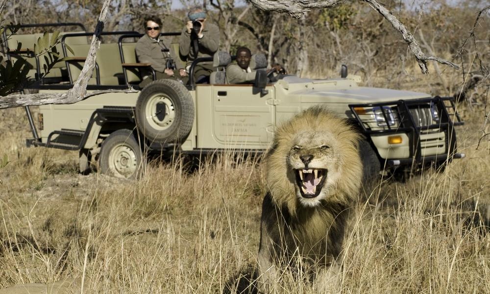 12 địa điểm du lịch ai cũng nên đến một lần trong đời ảnh 16 12 dia diem du lich ai cung nen den mot lan trong doi anh 16