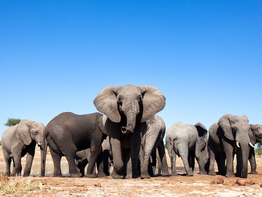 12 địa điểm du lịch ai cũng nên đến một lần trong đời ảnh 17 12 dia diem du lich ai cung nen den mot lan trong doi anh 17
