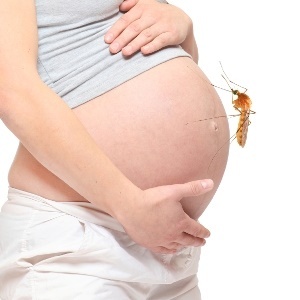 Virus Zika ảnh 1 Virus Zika anh 1
