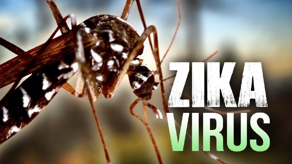65 nguoi nhiem virus Zika tai Viet Nam hinh anh