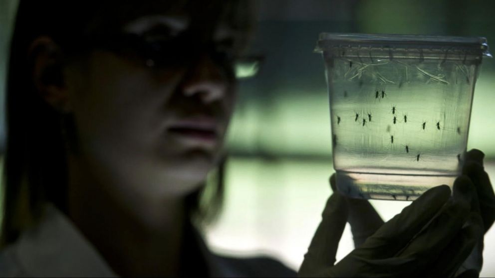 TP.HCM co 83 nguoi nhiem Zika hinh anh