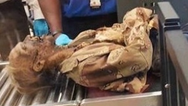 Mo hinh zombie kinh di qua cua an ninh duoc 'thich' nhat hinh anh