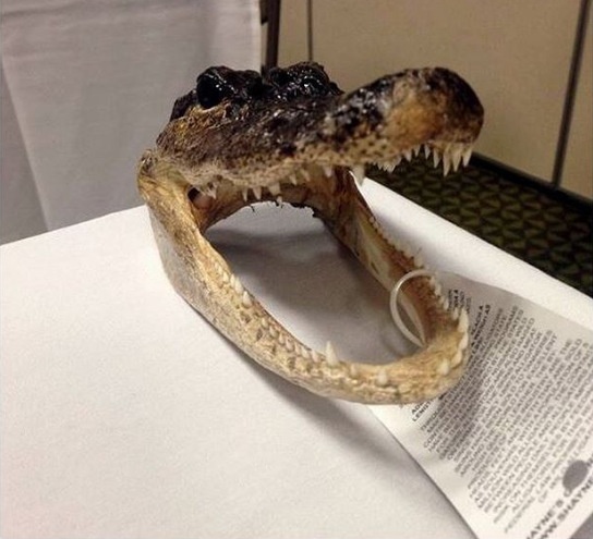 Do vat la o san bay anh 4