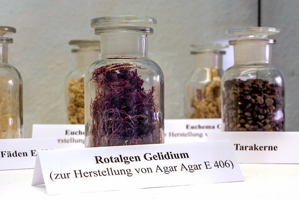 Bao tang am thuc vong quanh the gioi anh 6