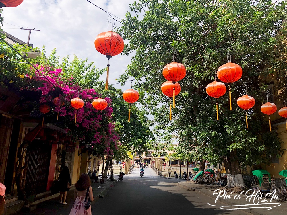 du lich Da Nang - Hoi An anh 5