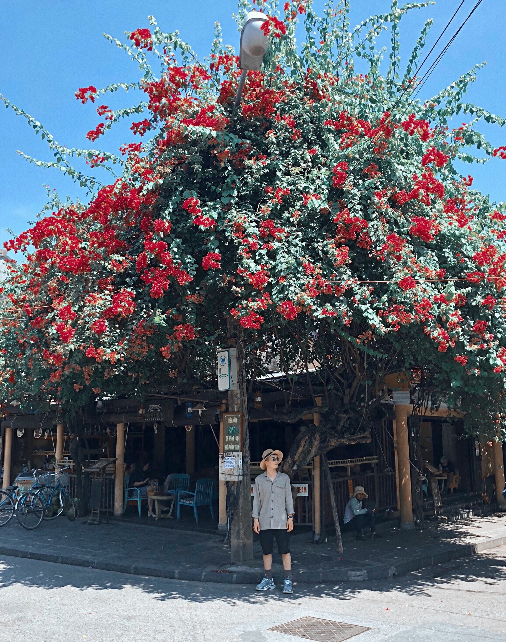 du lich Hoi An anh 3