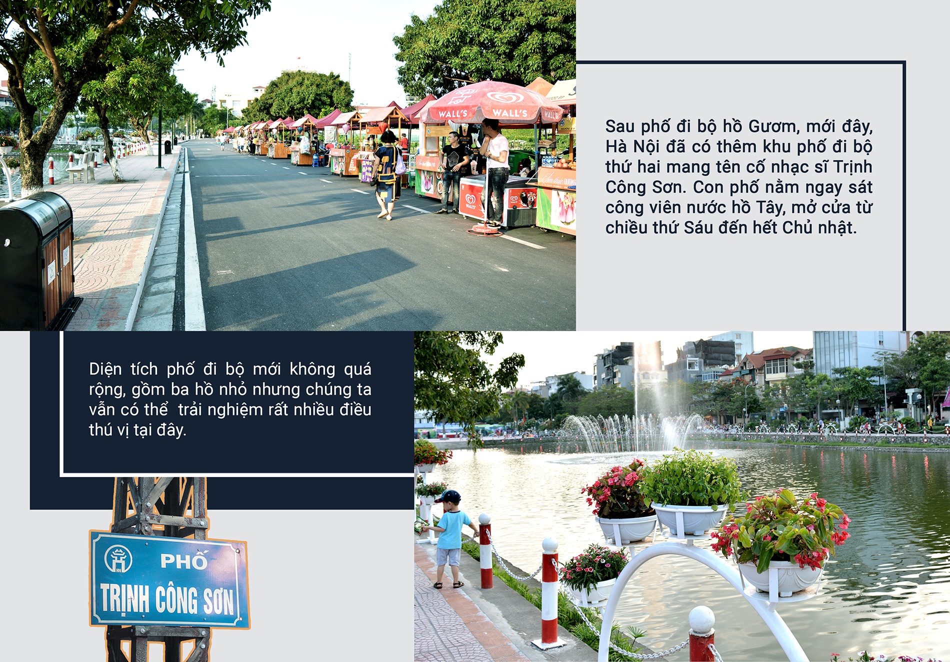 pho di bo Trinh Cong Son anh 1