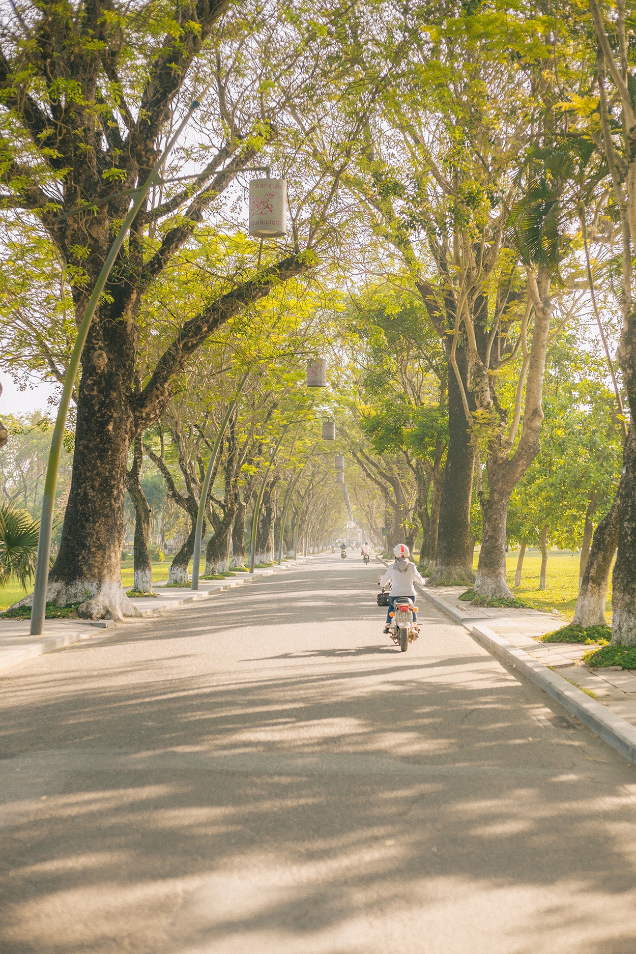 phượt Huế trong 1 ngày ảnh 4 phuot Hue trong 1 ngay anh 4