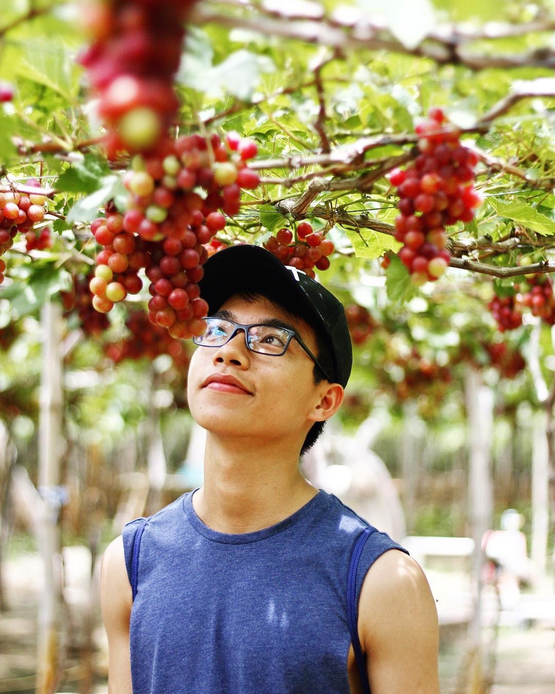 diem den hoang so anh 7