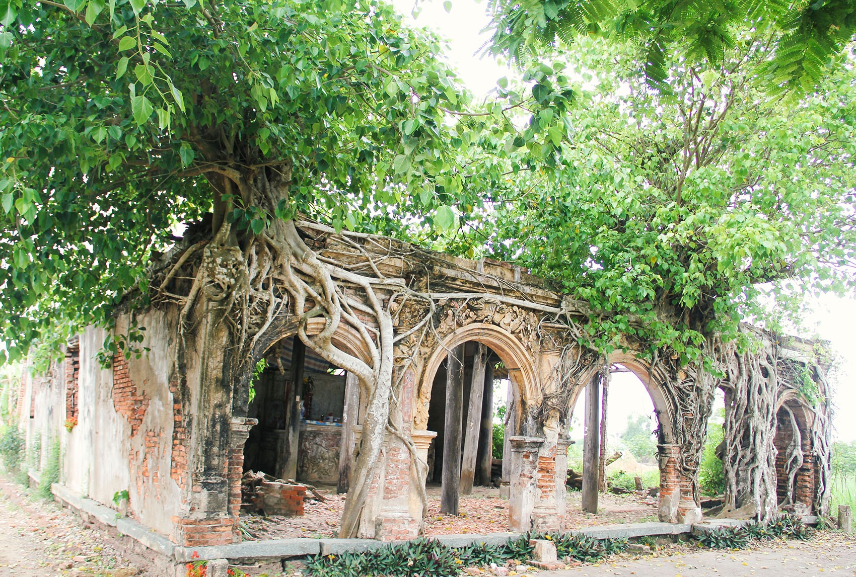 du lịch Gò Công ảnh 1 du lich Go Cong anh 1