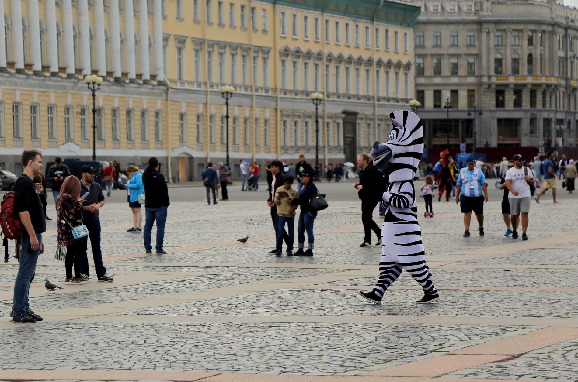 đến thành phố Saint Petersburg ảnh 20 den thanh pho Saint Petersburg anh 20