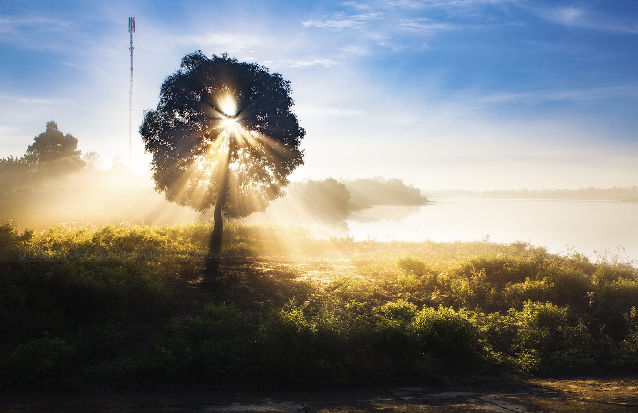 Nui rung Gia Lai dep huyen ao trong ong kinh cua nhiep anh gia 9X hinh anh