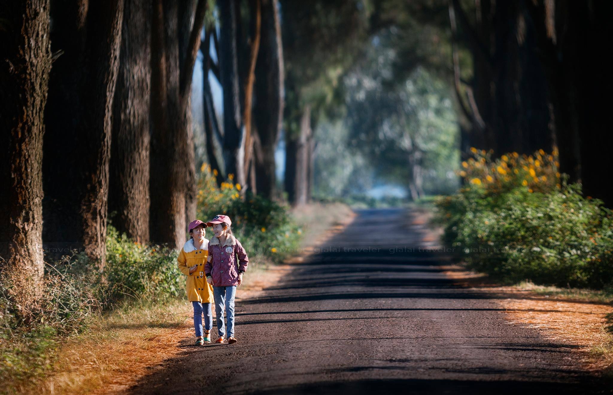 canh dep o Gia Lai anh 12