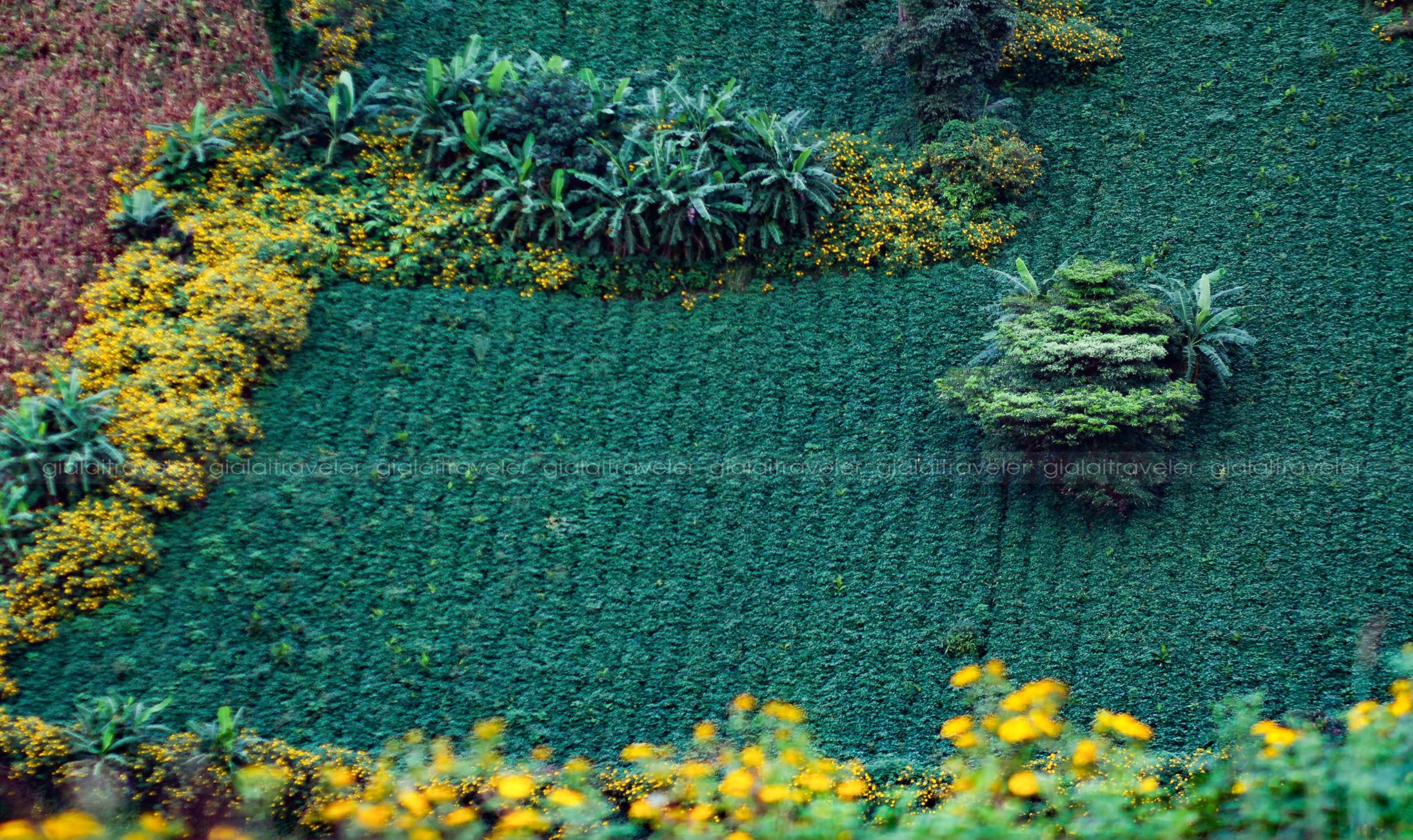 canh dep o Gia Lai anh 9