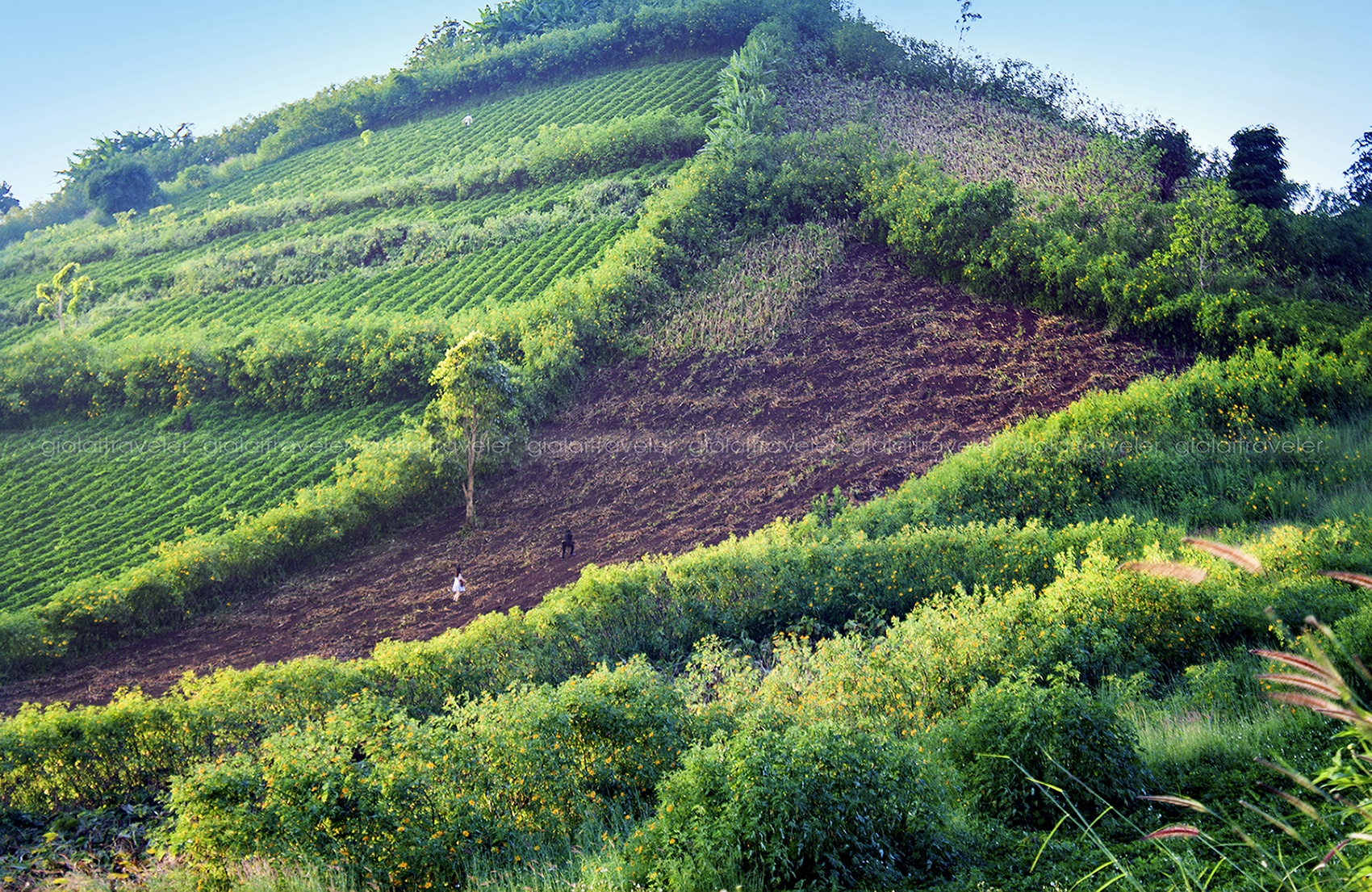 canh dep o Gia Lai anh 8