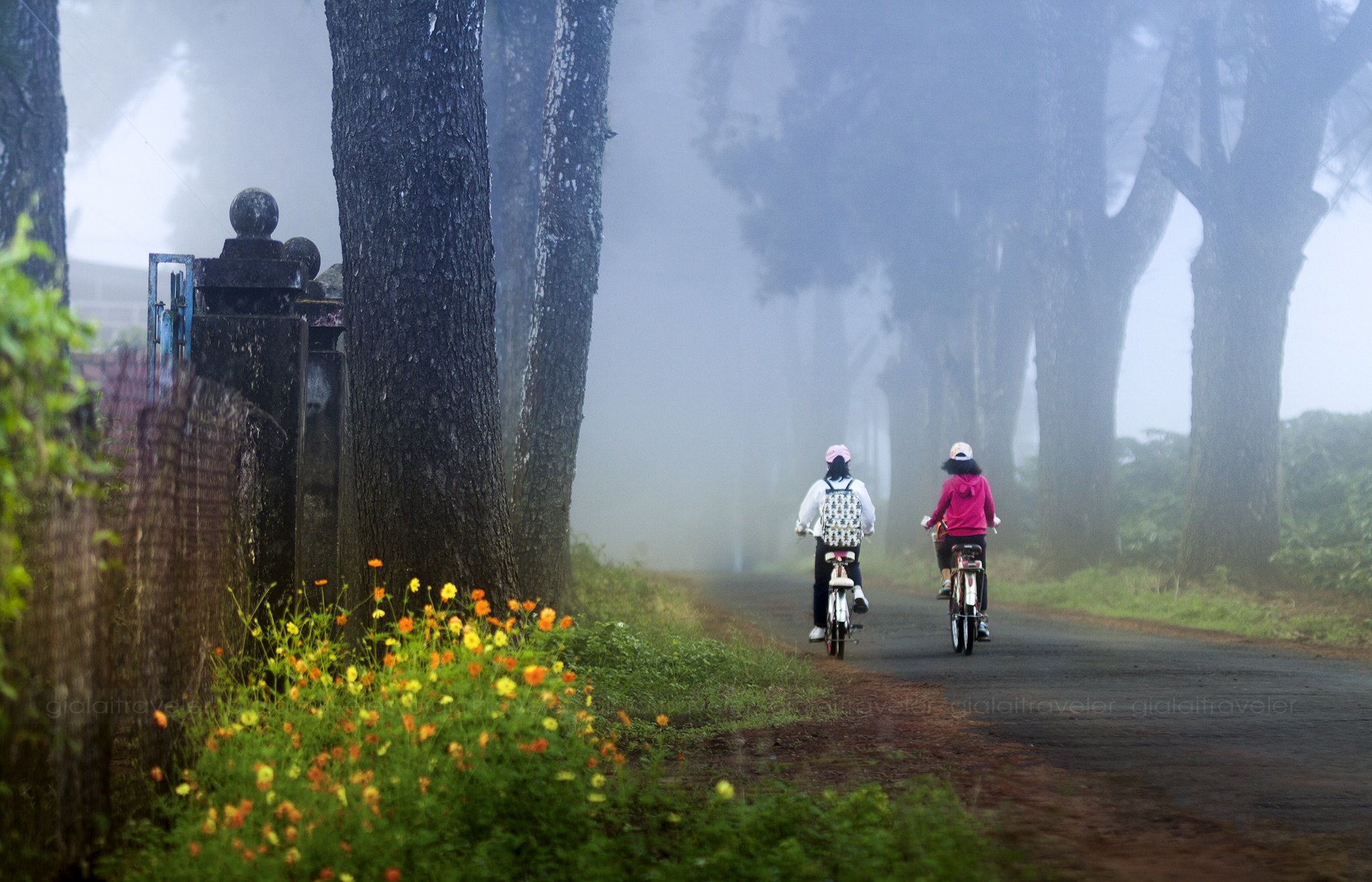 canh dep o Gia Lai anh 13