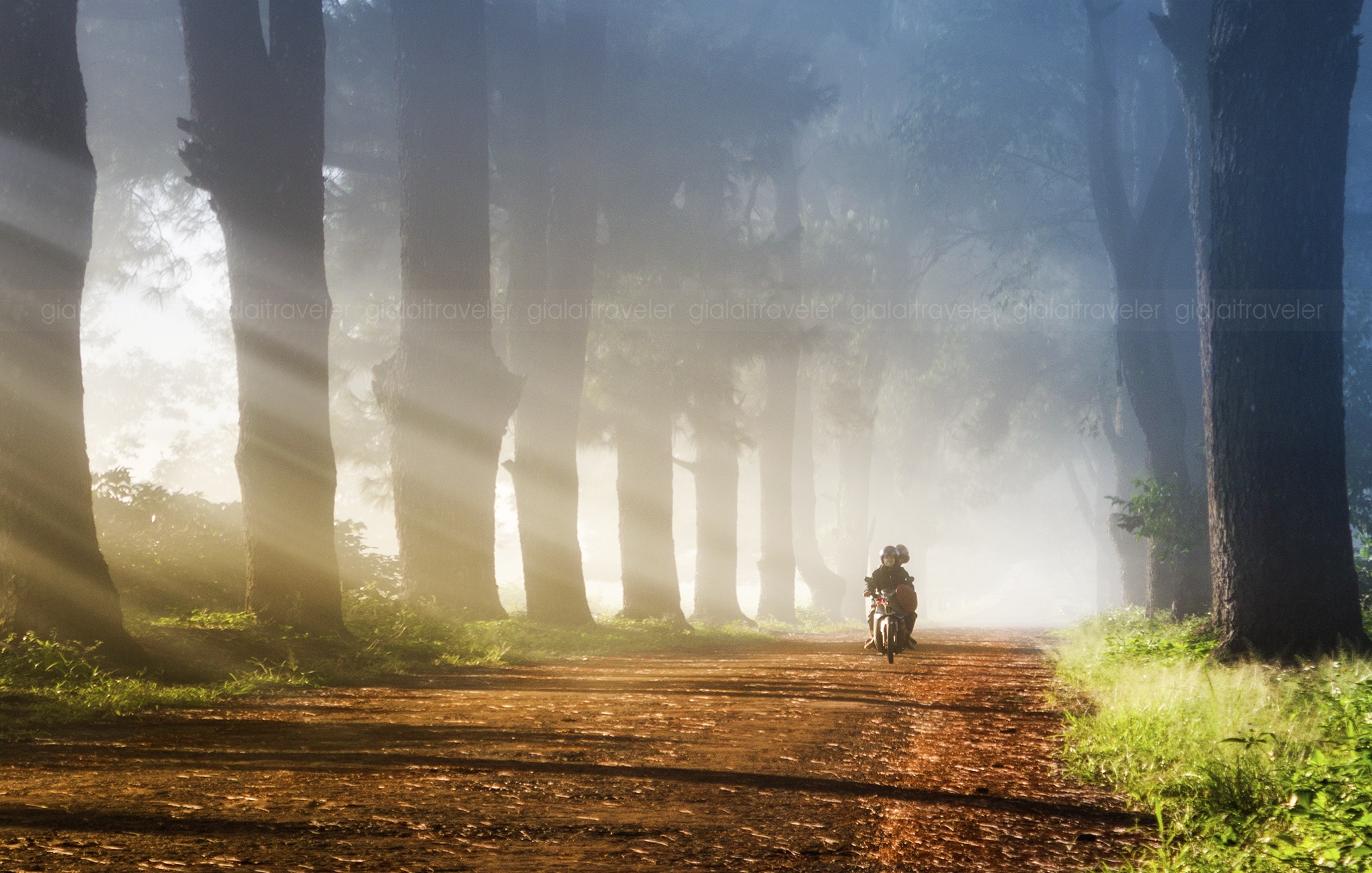 canh dep o Gia Lai anh 11