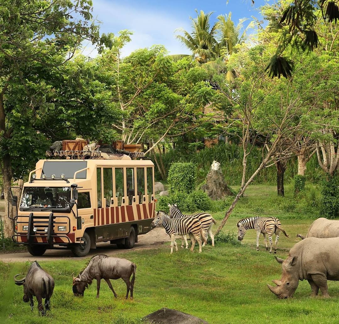 top 5 diem den hang dau Viet Nam anh 24