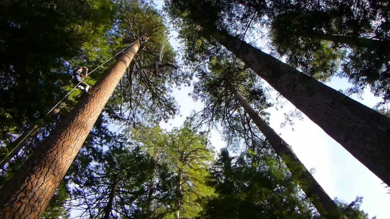 nhay bungee mao hiem nhat anh 12