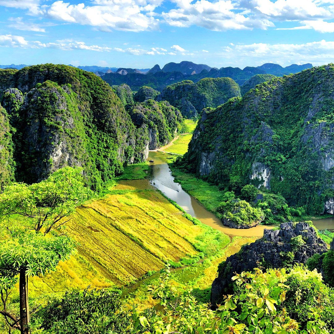 Tam Coc mua lua chin anh 27