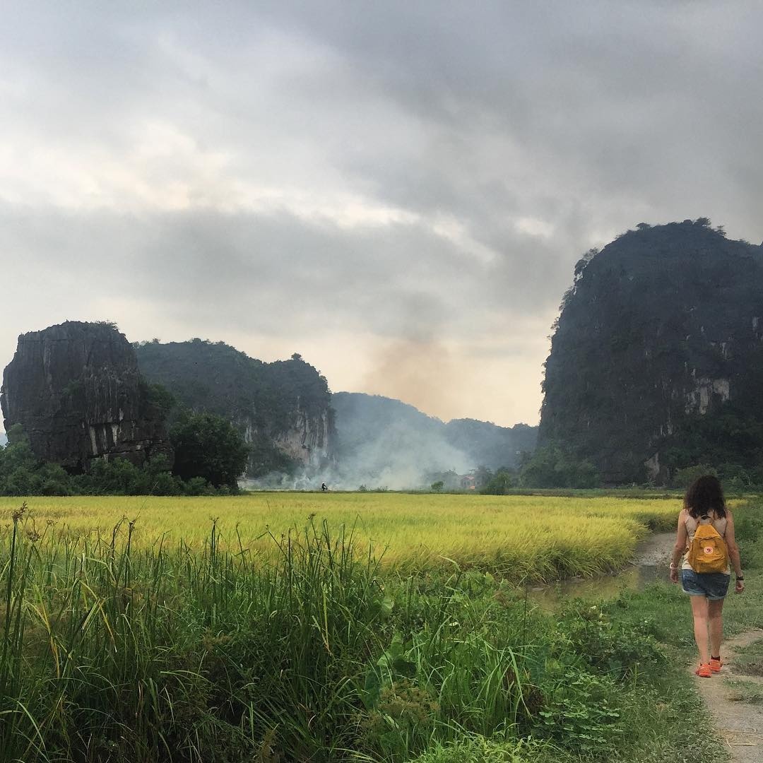 Tam Coc mua lua chin anh 23