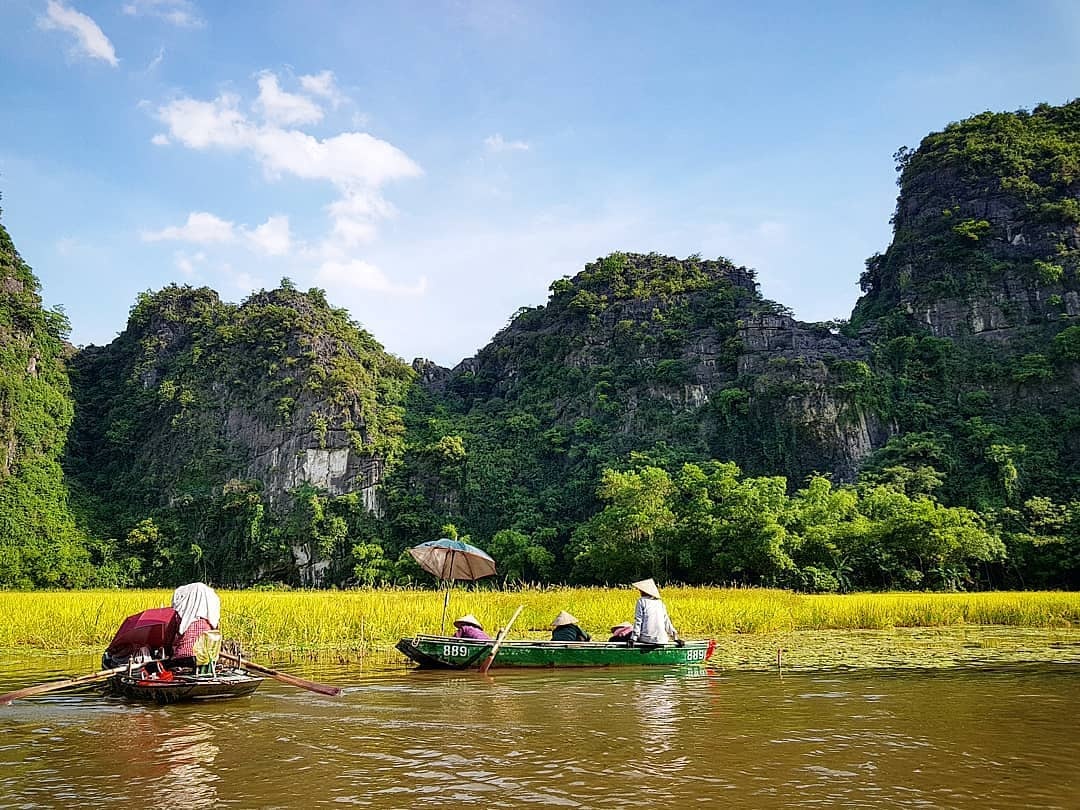 Tam Coc mua lua chin anh 35