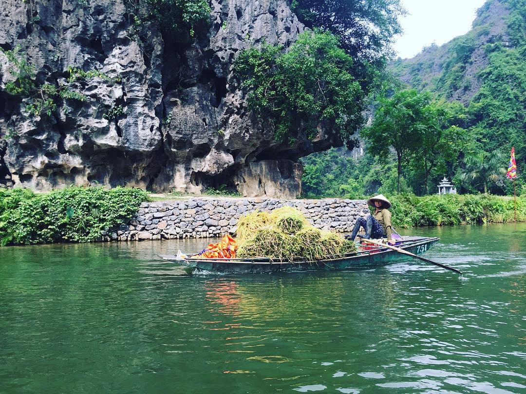 Tam Coc mua lua chin anh 38