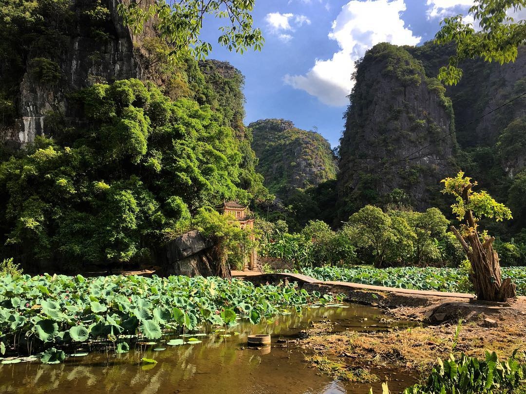 Tam Coc mua lua chin anh 33